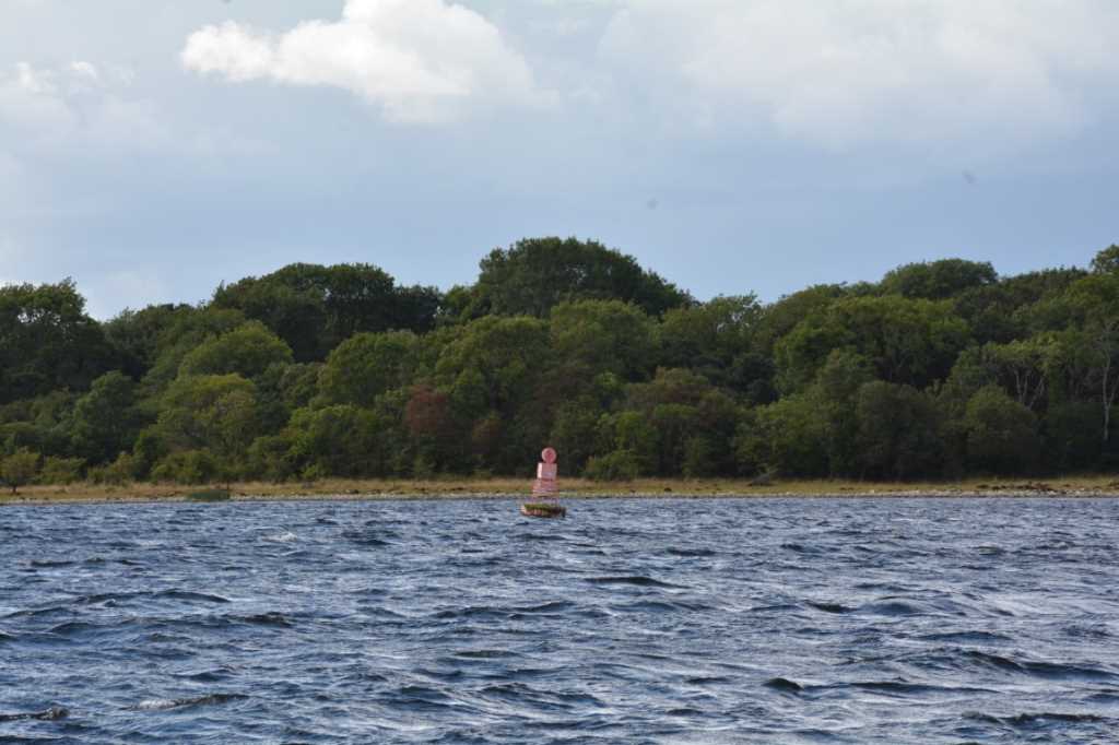 DSC_5944Mittel_.JPG